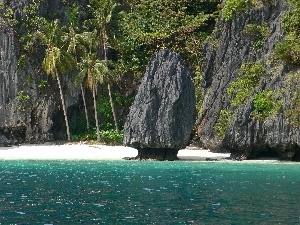 Palms, sea, rocks