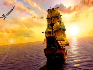 sea, seagull, sailing vessel