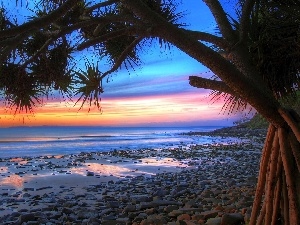 sea, Beaches, west, trees, sun