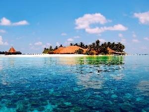 sea, Palms, Island, Tropical, Houses