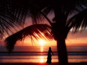 sea, Palm, west, Women, sun