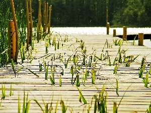 before, season, pier