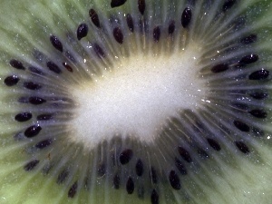 kiwi, seeds, sectioned