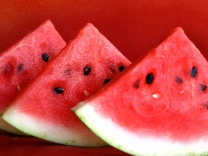 watermelon, seeds, cuts