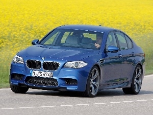 serie 5, BMW F10