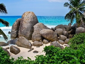 Seychelles, Palms, sea, rocks
