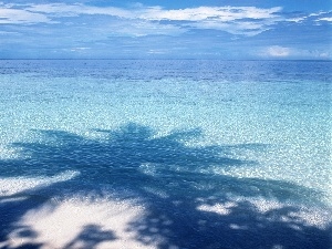 shadow, Sky, sea, Palms, Beaches