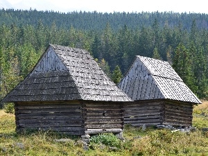 Sheepfarm, Zakopane