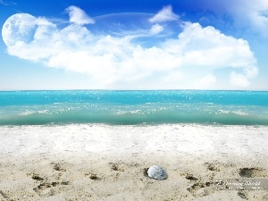 Beaches, shell, sea