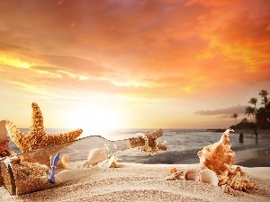 Beaches, Shells, sea, Bottle, Great Sunsets, starfish