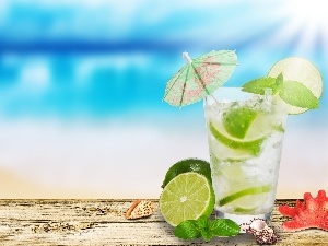 limes, Shells, lemonade