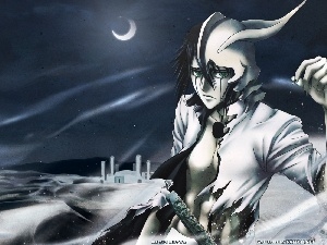 Ulquiorra Shiffer, bleach