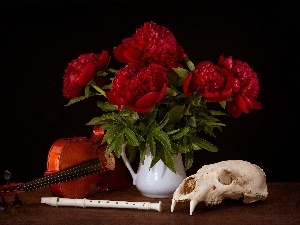 skull, violin, Flowers, compositions, Peonies