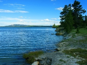 Sky, Spruces, beatyfull, lake