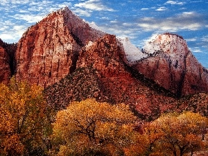 Sky, viewes, canyon, trees