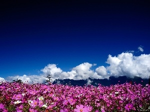 clouds, Sky, Cosmos