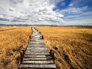 Sky, bridges, field, clouds, wooden