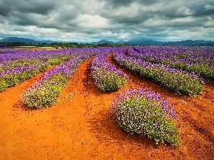 Sky, clouds, lavender, Sand