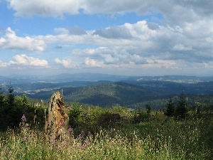 Sky, Mountains, Meadow, woods