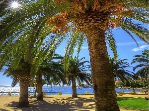 Palms, Sky, sea