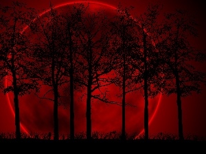 Sky, Red, trees, Planet, viewes