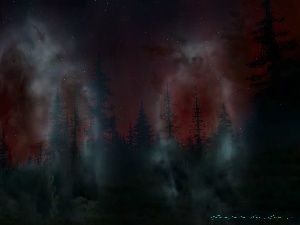 Sky, the spirits, forest