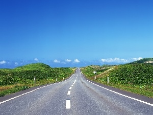 Sky, Bush, Way, hills