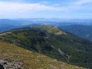 woods, Sky, Mountains