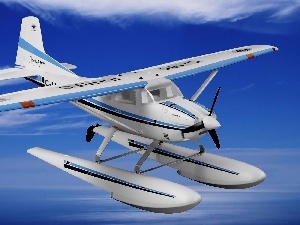 Skywagon, graphics, Cessna 185