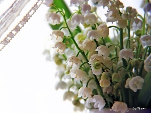 small bunch, curtain, lilies