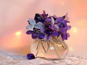 small bunch, Spring, fragrant violets