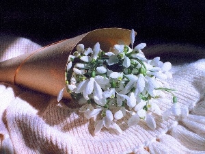 snowdrops, small bunch