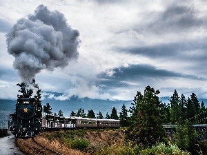 locomotive, smoke, Train