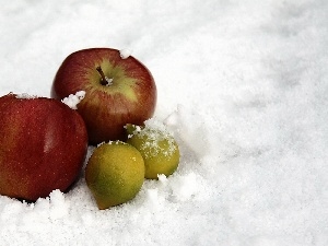 Amaranth, snow, apples