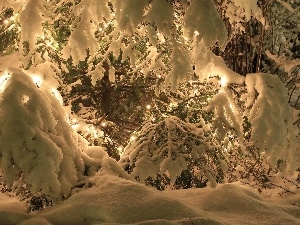 snow, lights, christmas tree
