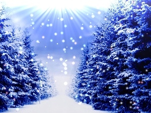 Christmas, snow, winter