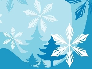 flakes, snow, Sapling