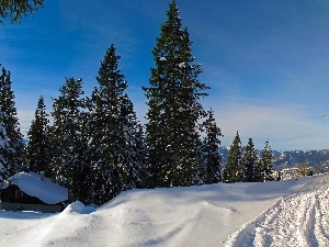 Mountains, snow, Home