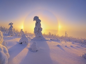 snow, Covered, trees, sun, viewes