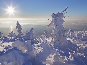 snow, Mountains, trees, sun, viewes