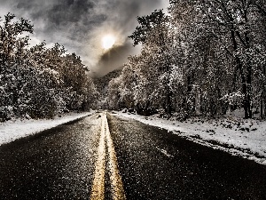 snow, viewes, Way, sun, trees