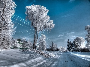 snow, Way, trees, winter, viewes