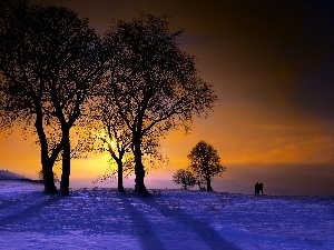 snow, trees, viewes, west, winter, sun