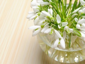 Vase, snowdrops, glass