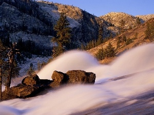 Softwood, viewes, Mountains, Avalanche, trees