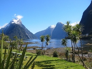 Milford Sound, VEGETATION, lake, New Zeland, Mountains
