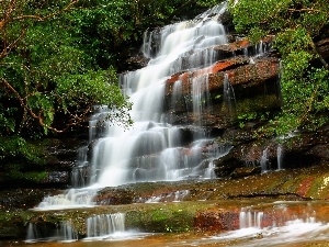 New South Wales, Brisbane Water National Park