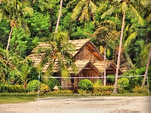 Davao, spa, Samal Island, Palms, Philippines, Home