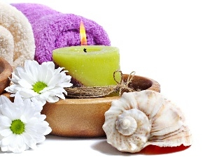 Spa, daisy, shell, candle