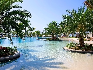 spa, Palms, Hotel hall, tropic, Pool